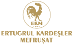 Ertuğrul Kardeşler